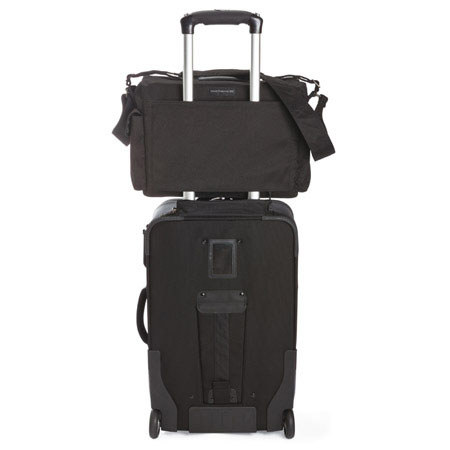 Urban reporter 350 new arrivals