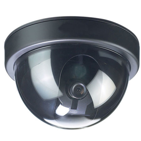 Lorex Dummy Indoor/Outdoor Dome Security Camera