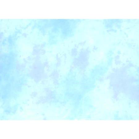 Lastolite LB56NO 5x6ft Collapsible Background, New York