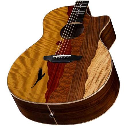 ギター LUNA GUITARS VISTA EAGLE VISTA EAGLE A/E WITH HARDSHELL CASE