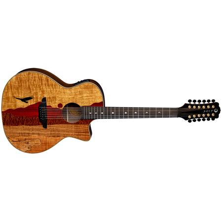 ギター LUNA GUITARS VISTA EAGLE VISTA EAGLE A/E WITH HARDSHELL CASE