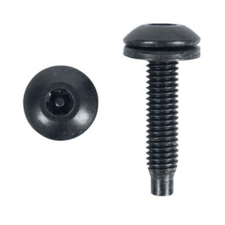 Lowell Manufacturing RSV-50 Torx Star Post Head Screws, 50 Pieces in Bag, Black