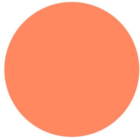 TargDots Lyman 1" Self-Adhesive Target Dots, Pack of 100