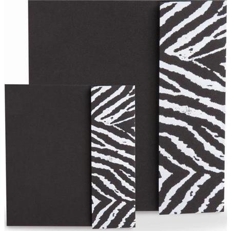 TAP Photo Case for 100x 8x10" Print, Black