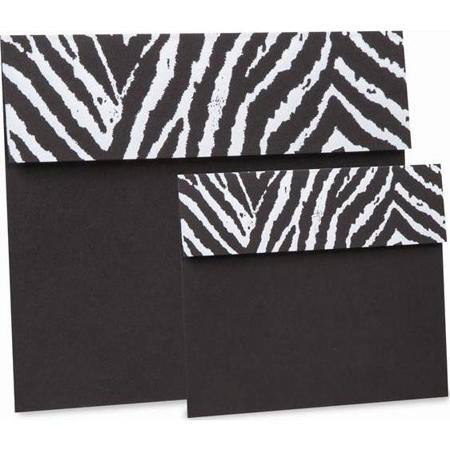 TAP Photo Case for 100x 8x10" Print, Black