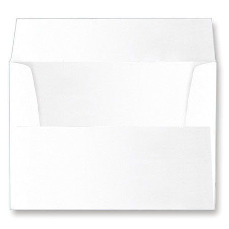 Collectors Gallery Mailing Envelope for 4x6" Folders/Frames, White, 25-Pack