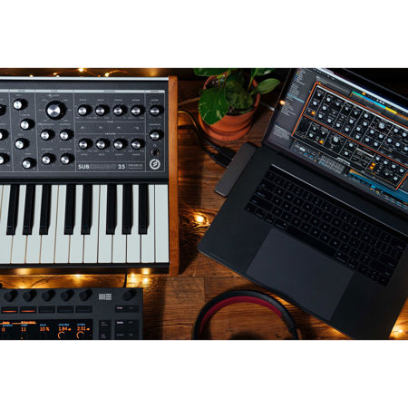 Moog Subsequent 25 2-Note 25-Key Paraphonic Analog