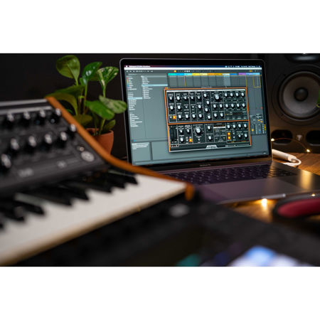 Moog Subsequent 25 2-Note 25-Key Paraphonic Analog