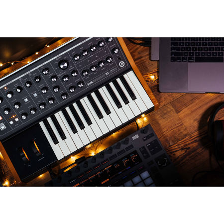 Moog Subsequent 25 2-Note 25-Key Paraphonic Analog