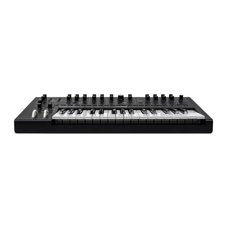Moog Messenger 32-Key Monophonic Analog Keyboard Synthesizer