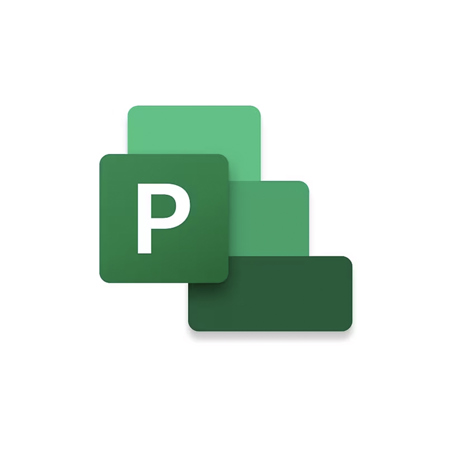 Microsoft Project Standard 2021, Single License, Boxed Medialess Version