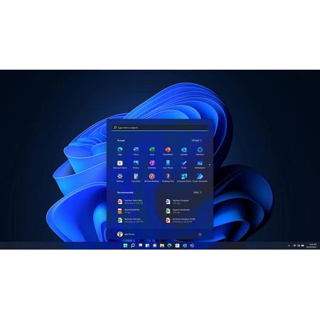 Microsoft Windows 11 Professional 64-Bit, Single License, DVD FQC