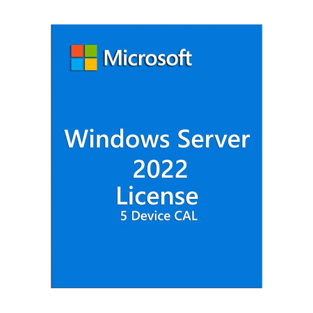 Microsoft Windows Server 2022 License, 5 Device CALs