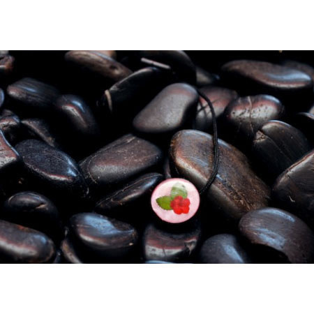 Mod MOD248 Pressed Flower Cap Saver for Camera Lens