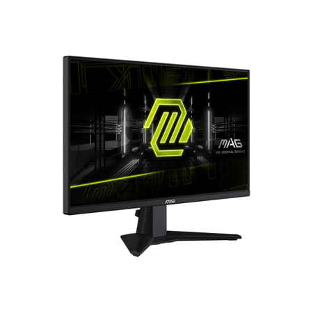 MSI MAG 255XF 24.5
