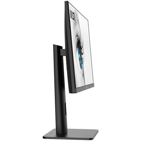 Monitor MSI 100Hz Pro MP23XP 【公式通販】