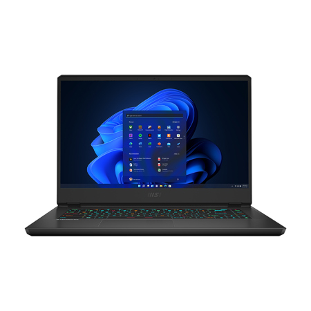 MSI Vector GP66 15.6" QHD 165Hz Gaming, i7-12700H, 32GB,1TB SSD,RTX 3070 Ti,W11H
