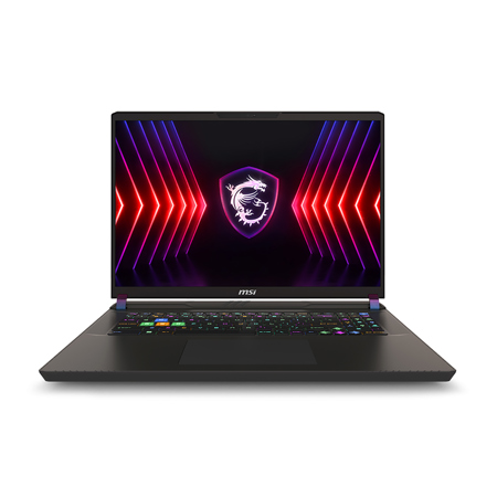MSI Vector 17 HX A14VGG-219US 17" QHD+ 240Hz Gaming Laptop, Intel Core i9-14900HX 2.2GHz, 32GB RAM, 1TB SSD, NVIDIA GeForce RTX 4070 8GB, Windows 11 Pro, Cosmo Gray