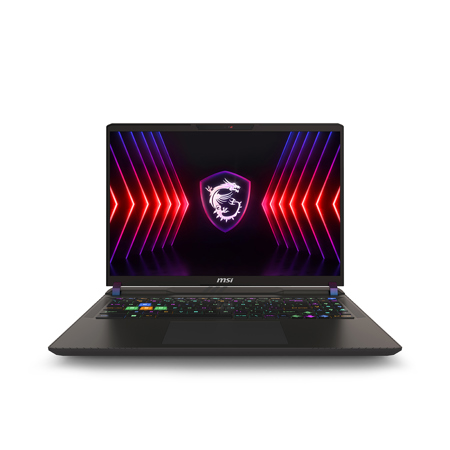 MSI Vector 16 HX A14VFG-246US 16" FHD+ 144Hz Gaming Laptop, Intel Core i9-14900HX 1.6GHz, 16GB RAM, 1TB SSD, NVIDIA GeForce RTX 4060 8GB, Windows 11 Pro, Cosmo Gray