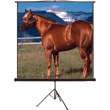 Mustang 60 x 80" Tripod Front Projection Screen, 4:3 Aspect Ratio
