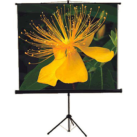 Mustang 70 x 70" Tripod Front Projection Screen, 1:1 Aspect Ratio