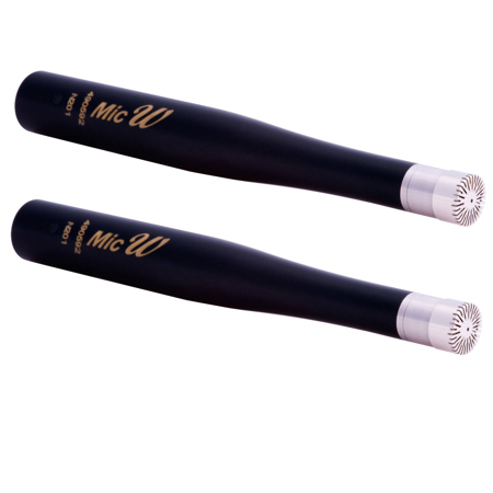 MicW N201 Standard Omnidirectional Studio Condenser Microphone, Pair