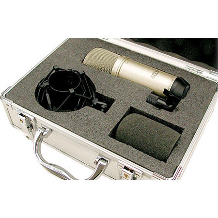 MXL 06SCASE Universal Carrying Case for Large-Body