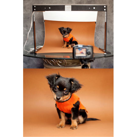 MyStudio 5-Pack of 24x36in Colored Background Inserts