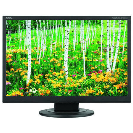 NEC AccuSync 22" Widescreen LCD Monitor