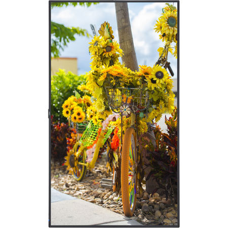 NEC MultiSync C551 55" FHD Slim LED Public Display Monitor, Integrated Speakers