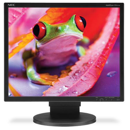 NEC MultiSync EA191M 19" Eco-Friendly Desktop Monitor with PVA Panel