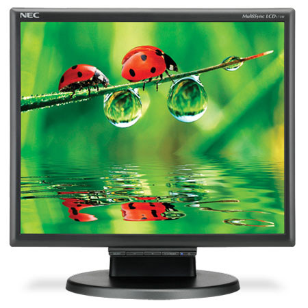 NEC LCD175M 17" LCD Desktop Monitor with Built-In Speakers