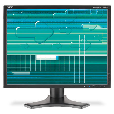 NEC MultiSync LCD2190UXP 21" Professional High-Resolution Desktop Monitor