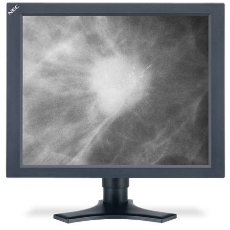 NEC 20.1" Grayscale Diagnostic Monitor