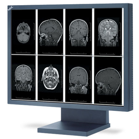 NEC MultiSync 21.3" Grayscale LCD Monitor