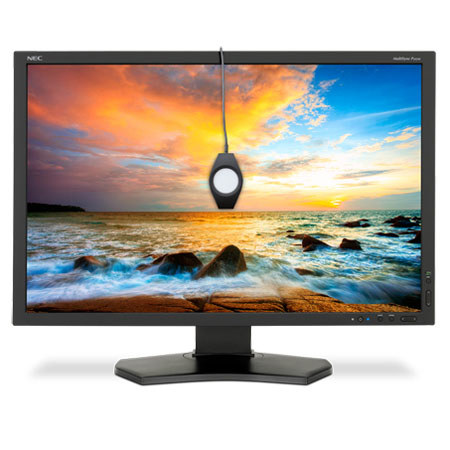 NEC P242W-BK-SV 24" LED Backlit IPS Desktop Monitor with SpectraView II