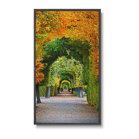 NEC X554HB 55" Full HD High Brightness LED Display