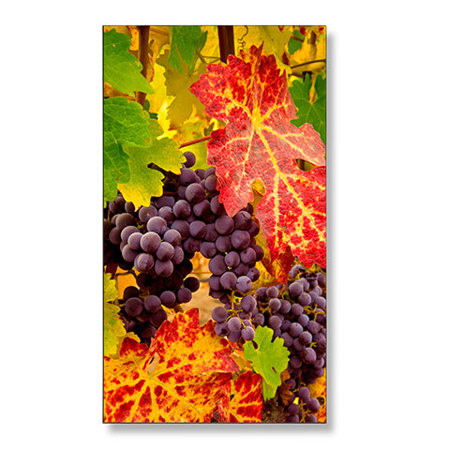 NEC X554UN 55" Full HD Professional-Grade Large-Screen LED Display Monitor