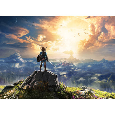 The Legend of Zelda: Breath of the Wild for Nintendo Switch