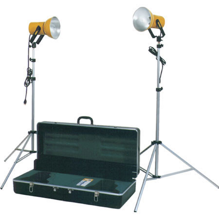 NRG 1000-watt, 2-light kit