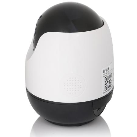 Netvue 1080p Orb Camera