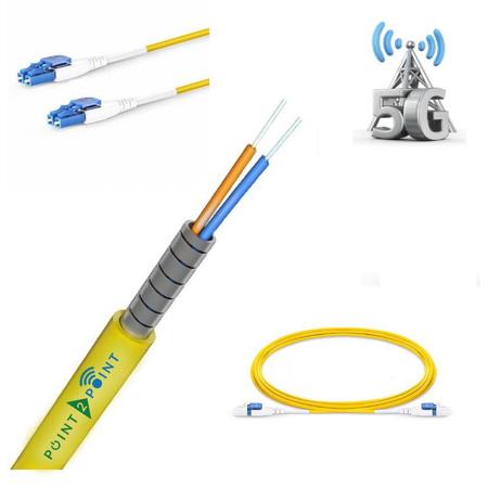Point 2 Point 20m SingleMode OS2 LC/LC 1.6mm Patch Cord with PVC Riser Jacket