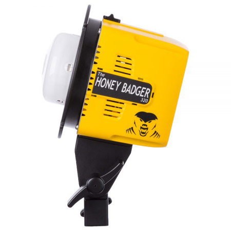 Interfit Photographic Honey Badger 320Ws Compact Flash Head, 5600K