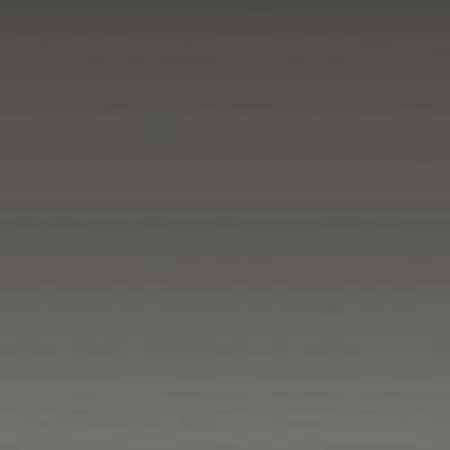 Interfit INT705 Monza Dark Gray-Light Gray Background