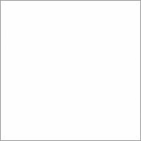 Interfit INT714 Master Giant Disc Background White