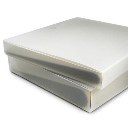 Paolo Cardelli Signature Frost Binder Case Fits 1" Ring L&scape Tabloid Binder