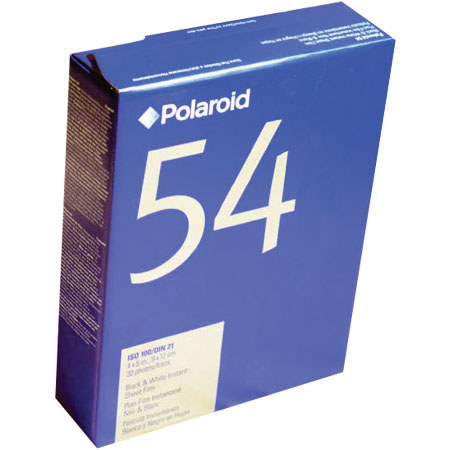 Polaroid 54 4x5 B&W Sheet Film (20) - An ISO 100 film specifically created for checking subject composition and lighting range, and for black and white conversions from color transparencies.