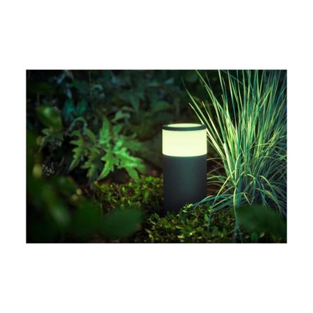 White and Color Ambiance Outdoor LED Calla Black Landscape Smart  Landscape Path Bollard Light Extension