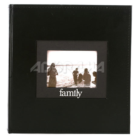 Pioneer DA200SNT Bi-Directional 3-D Metal Frame Album