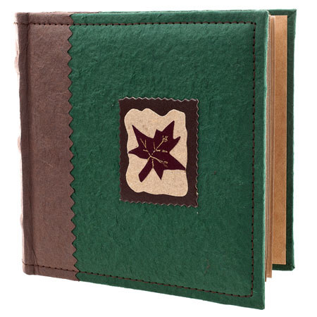 Pioneer Eco Ltd Series Bound Photo Album Holds 100 4x6" Photos - Maple